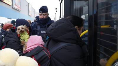 Свыше 700 тысяч украинцев въехали в Польшу с начала российской спецоперации