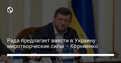 Рада предлагает ввести в Украину миротворческие силы – Корниенко