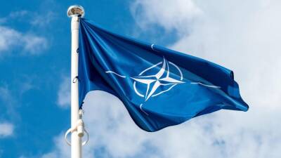 Матиас Депфнер: члены НАТО должны действовать СЕЙЧАС