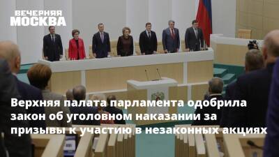 Верхняя палата парламента одобрила закон об уголовном наказании за призывы к участию в незаконных акциях - vm.ru - Россия