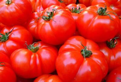 Россельхознадзор с 5 марта разрешает поставки овощей из Армении, Белоруссии, Казахстана