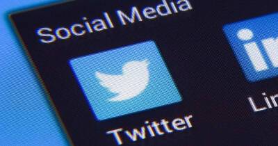 Политолог заявил, что Twitter в России вел себя как неонацист