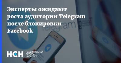 Эксперты ожидают роста аудитории Telegram после блокировки Facebook - nsn.fm - Россия