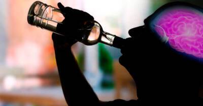 Ученые из США нашли связь между употреблением алкоголя и объемом мозга