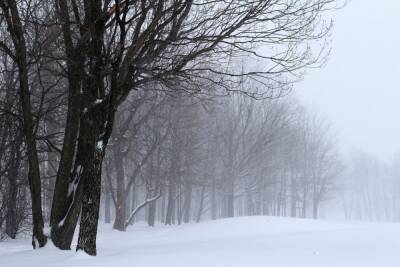 В Хабаровском крае снегопад продлится до 6 марта