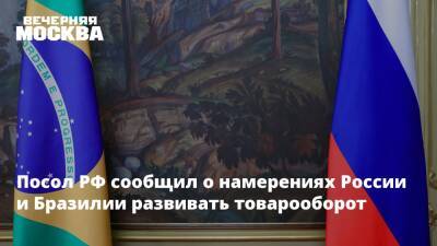 Посол РФ сообщил о намерениях России и Бразилии развивать товарооборот