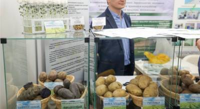 Из-за высокого спроса на семенную картошку в Чувашии решили провести еще одну ярмарку