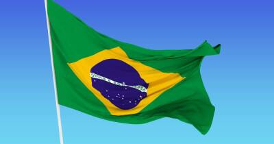 Посол сообщил о намерениях России развивать товарооборот с Бразилией