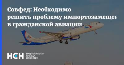 Валерий Васильев - Совфед: Необходимо решить проблему импортозамещения в гражданской авиации - nsn.fm - Россия