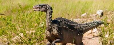 В Китае обнаружили останки одного старейших видов стегозавров
