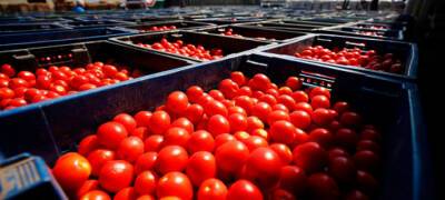 Россельхознадзор отменяет введенные ограничения на ввоз овощей из девяти стран