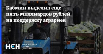 Кабмин выделил еще пять миллиардов рублей на поддержку аграриев