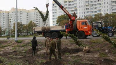 Вадим Кстенин: весной в Воронеже продолжится масштабное озеленение города