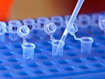 Новый ДНК-тест поможет в краткий срок выявлять более пятидесяти генетических болезней