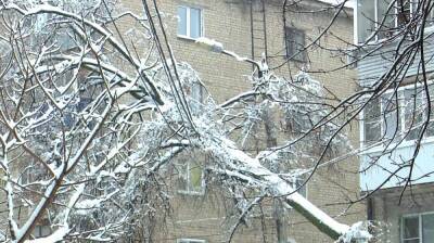 Циклон «Эльза» частично оставил без света 9 районов Воронежской области