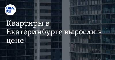 Квартиры в Екатеринбурге выросли в цене