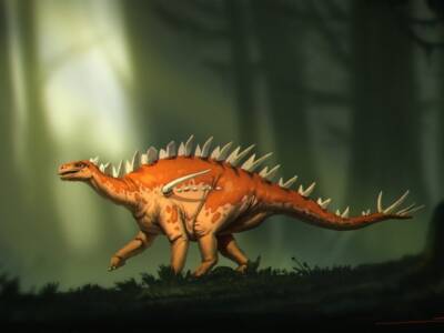 Обнаруженный в Китае новый вид стегозавров претендует на титул древнейшего в мире