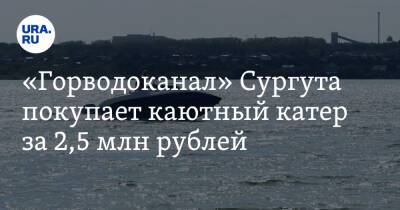 «Горводоканал» Сургута покупает каютный катер за 2,5 млн рублей. Фото