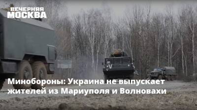 Минобороны: Украина не выпускает жителей из Мариуполя и Волновахи