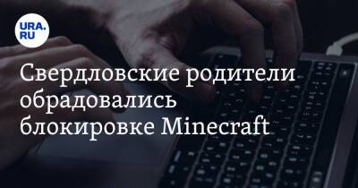 Свердловские родители обрадовались блокировке Minecraft. «Дети перестанут тупеть»