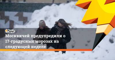 Москвичей предупредили о 17-градусных морозах на следующей неделе