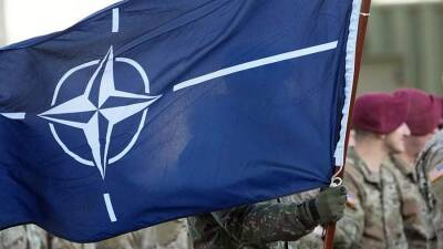 Директор РУССТРАТ оценила готовность Финляндии обсуждать вступление в НАТО