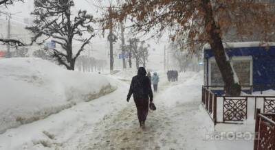 МЧС выпустило предупреждение о порывистом ледяном ветре в Чувашии