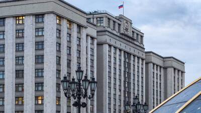 В Госдуме объяснили необходимость закона о наказаниях за фейки о действиях ВС РФ
