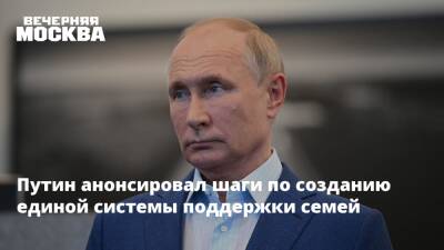 Владимир Путин - Путин анонсировал шаги по созданию единой системы поддержки семей - vm.ru - Россия - Техноград