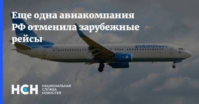Еще одна авиакомпания РФ отменила зарубежные рейсы