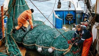 В РФ задумались об отмене штрафов за срывы инвестпроектов рыбопромышленников
