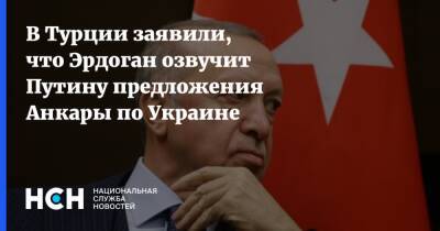 В Турции заявили, что Эрдоган озвучит Путину предложения Анкары по Украине