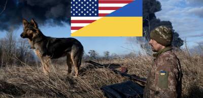 Stand with Ukraine. Республіканці в США накинулися на Трампа та тиснуть на Байдена