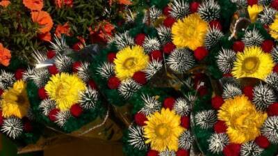 В Пензе открылись точки продажи цветов