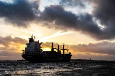Морская блокада контейнерных перевозок Петербурга: куда ведет логистический коллапс