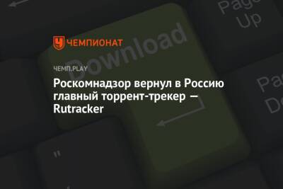 Роскомнадзор вернул в Россию главный торрент-трекер — Rutracker