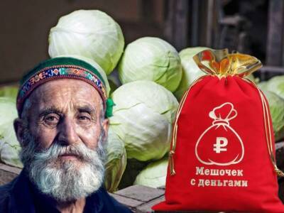 Как Россия будет решать проблему дефицита овощей в условиях санкций