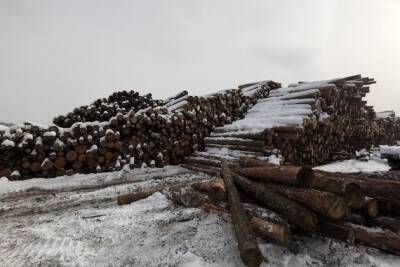 Андрей Кефер объяснил высокие цены на дрова тем, что в Забайкалье иссякли лесосеки