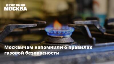 Москвичам напомнили о правилах газовой безопасности