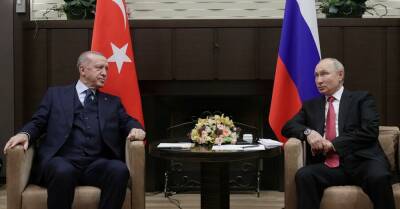 Кремль: Эрдоган в разговоре с Путиным раскритиковал "дискриминацию русской культуры"