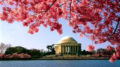 15 лучших мест в США, которые стоит увидеть этой весной