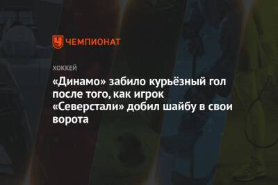 «Динамо» забило курьёзный гол после того, как игрок «Северстали» добил шайбу в свои ворота