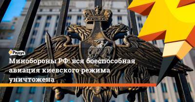 Минобороны РФ: вся боеспособная авиация киевского режима уничтожена