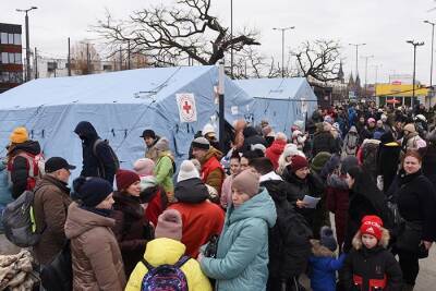Правительство Германии планирует распределить раненых и больных из Украины по всей стране