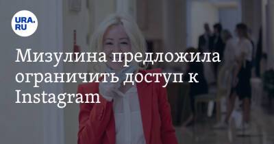 Екатерина Мизулина - Мизулина предложила ограничить доступ к Instagram - ura.news - Россия - Украина