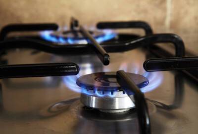 Глава Минэкономики ФРГ заявил о непростой зиме при прекращении поставок российского газа