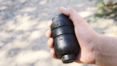 В Подмосковье задержали мужчину с муляжом гранаты