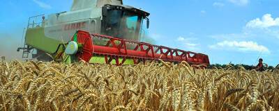 Французское издание Pleinchamp: без российских удобрений Европе грозит дефицит урожая в 2022 году