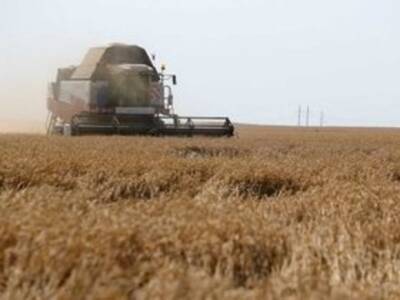 Миру пророчат голод без российской пшеницы, а Европе — неурожай без удобрений из РФ