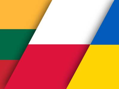 Delfi: Польша не будет посылать истребители на Украину